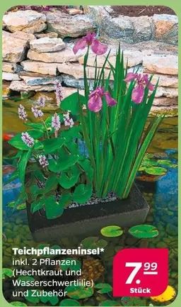 Teichpflanzeninsel