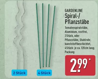 Spiral - -/Pflanzstäbe