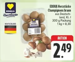 Braun - Champignons braun