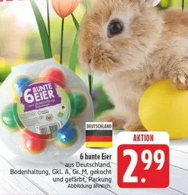 6 bunte Eier