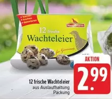 Wachteleier