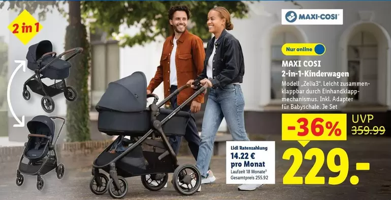 2-in-1-Kinderwagen