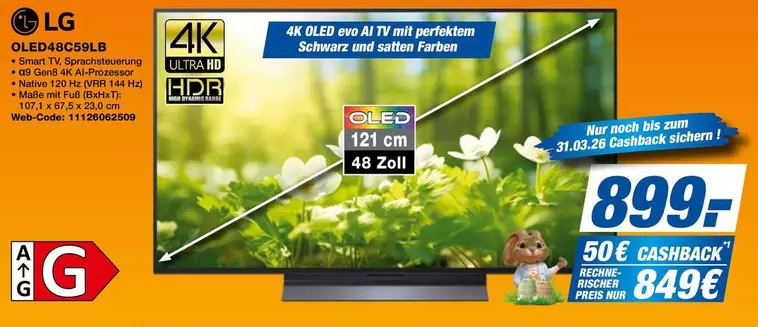 LG - 4K OLED evo AI TV