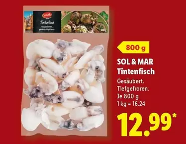 Sol - Tintenfisch