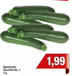 Spanische Zucchini KL. I