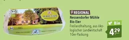 Bio -  Eier 10er-Packung