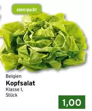 Kopfsalat Klasse I, St
k