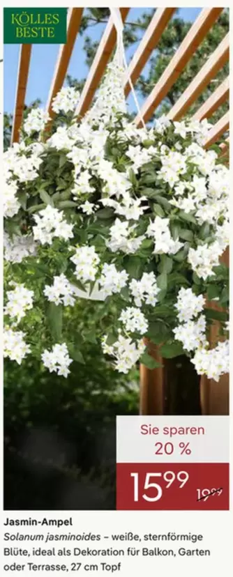 Ideal - Jasmin-Ampel