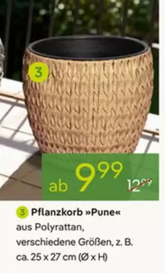 Pflanzkorb "Pune«