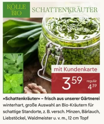Bio - Schattenkräuter