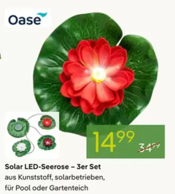 Solar LED-Seerose - 3er Set