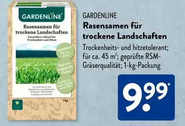 Ideal - Rasensamen für trockene Landschaften