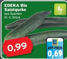 Bio - Salatgurke