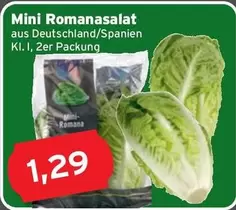 Mini Romanasalat