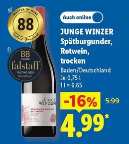 Master - JUNGE WINZER Spätburgunder, Rotwein, trocken
