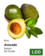 Avocado