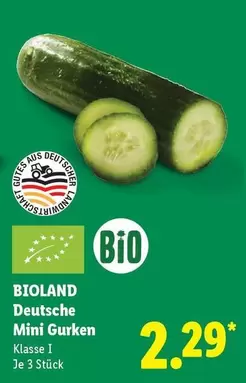 Bio - Deutsche Mini Gurken