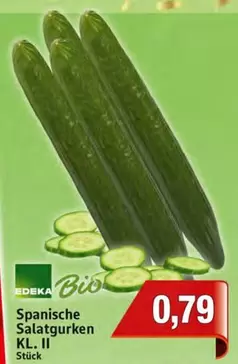 Bio - Spanische Salatgurken KL. II