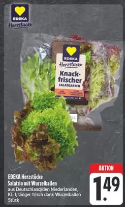 Knack-frischer Salatgarten