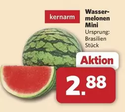 Wassermelonen Mini