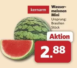 Wassermelonen Mini