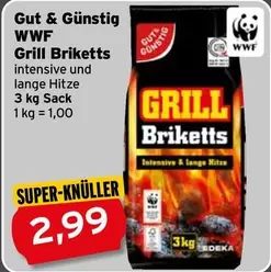 Grill Briketts