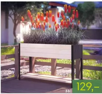 Planter Box