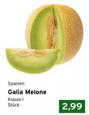 Galia Melone