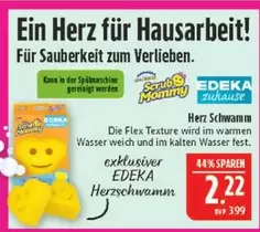 Fest - Herzschwamm