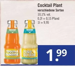 Cocktail Plant