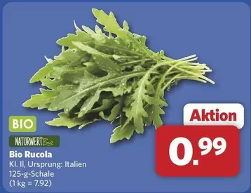 Bio -  Rucola