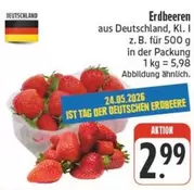 Erdbeeren