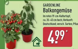Balkongemüse
