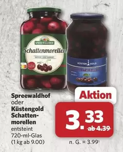 Gold - Schattenmorellen or Küstengold Schattenmorellen