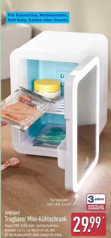 Tragbarer Mini-Kühlschrank