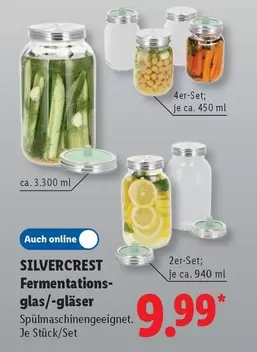 Fermentationsglas/-gläser