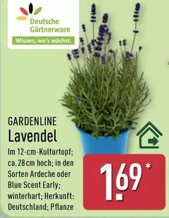 GARDENLINE Lavendel