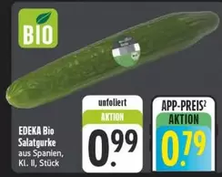 Bio - Salatgurke