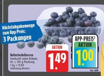 Kulturbelbeerbeeren