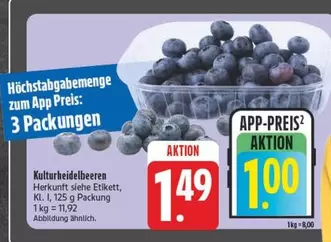 Kulturheidelbeeren