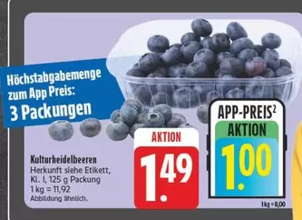 Kulturheidelbeeren