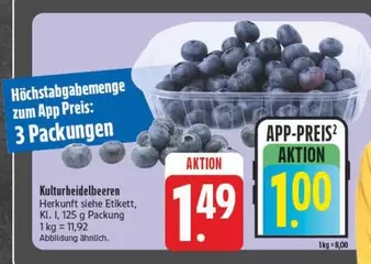Kulturheidelbeeren