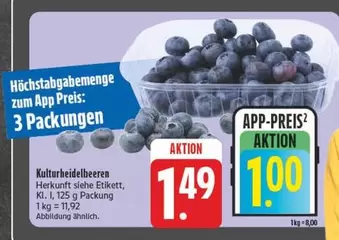 Kulturheidelbeeren