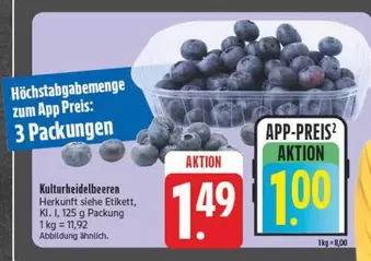 Kulturheidelbeeren