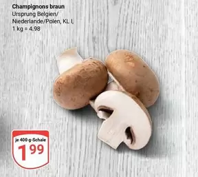 Braun - Champignons braun