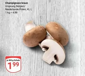 Braun - Champignons braun