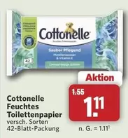 Feuchtes Toilettenpapier