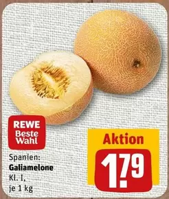 Wahl - Galia Melone