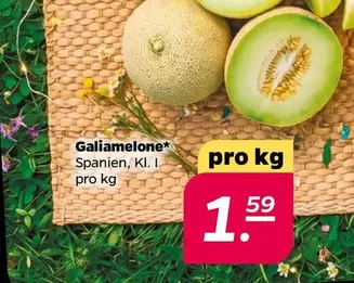 Galiamelone