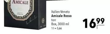 Amicable Rosso